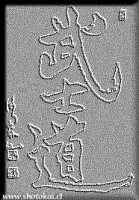 bushido