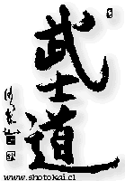 bushido