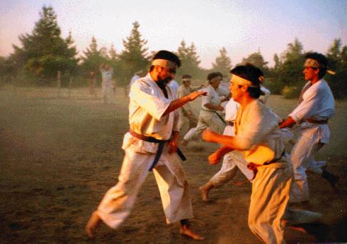 Gohon Kumite