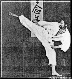 Yoko Geri Kekomi